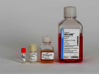 MSCGM™ Mesenchymal Stem Cell Growth Medium BulletKit™