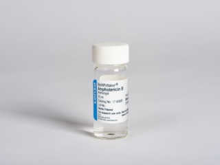 Amphotericin B for cell culture