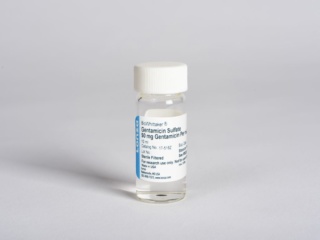 Gentamicin 50 mg/ml 1 x 10 ml screw cap