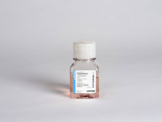 Trypsin/EDTA Solution 100 ml