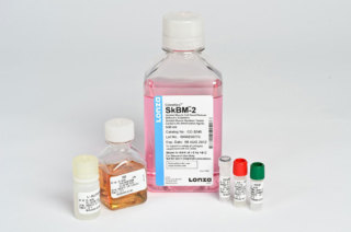 SkGM™-2 Skeletal Muscle Cell Growth Medium-2 BulletKit™ 