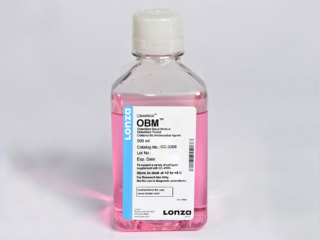 OBM Basal Medium Medium, 500 ml