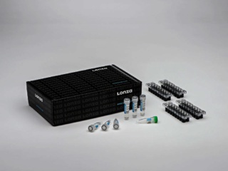 Cell Line Optimization 4D-Nucleofector™ X Kit