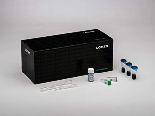 P1 Primary Cell 4D-Nucleofector™ X Kit L