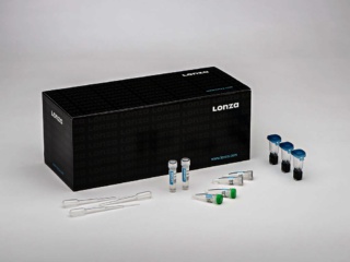 SF Cell Line 4D-Nucleofector™ X Kit L