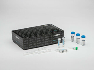 Cell Line Nucleofector™ Kit T