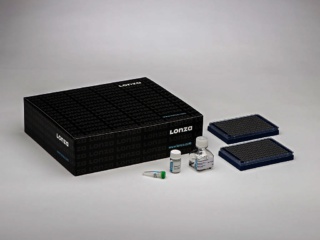 SF Cell Line 384-well Nucleofector™ Kit