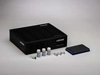 Cell Line Optimization 384-well Kit