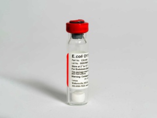 Control Standard Endotoxin for QCL-1000<sup>TM</sup> Endpoint Chromogenic LAL, E. coli Strain 0111:B4