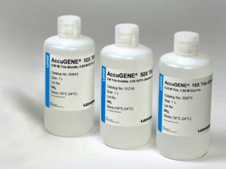 AccuGENE™ 10X PBS