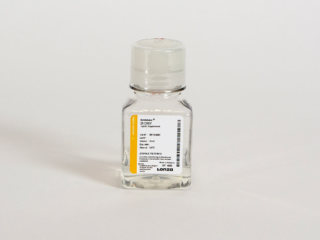 CHO 7 Lipids 2x concentr. 35 ml