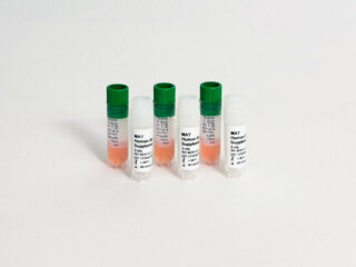 PyroCell<sup class=reg>®</sup> Monocyte Activation Test – Human Serum Kit