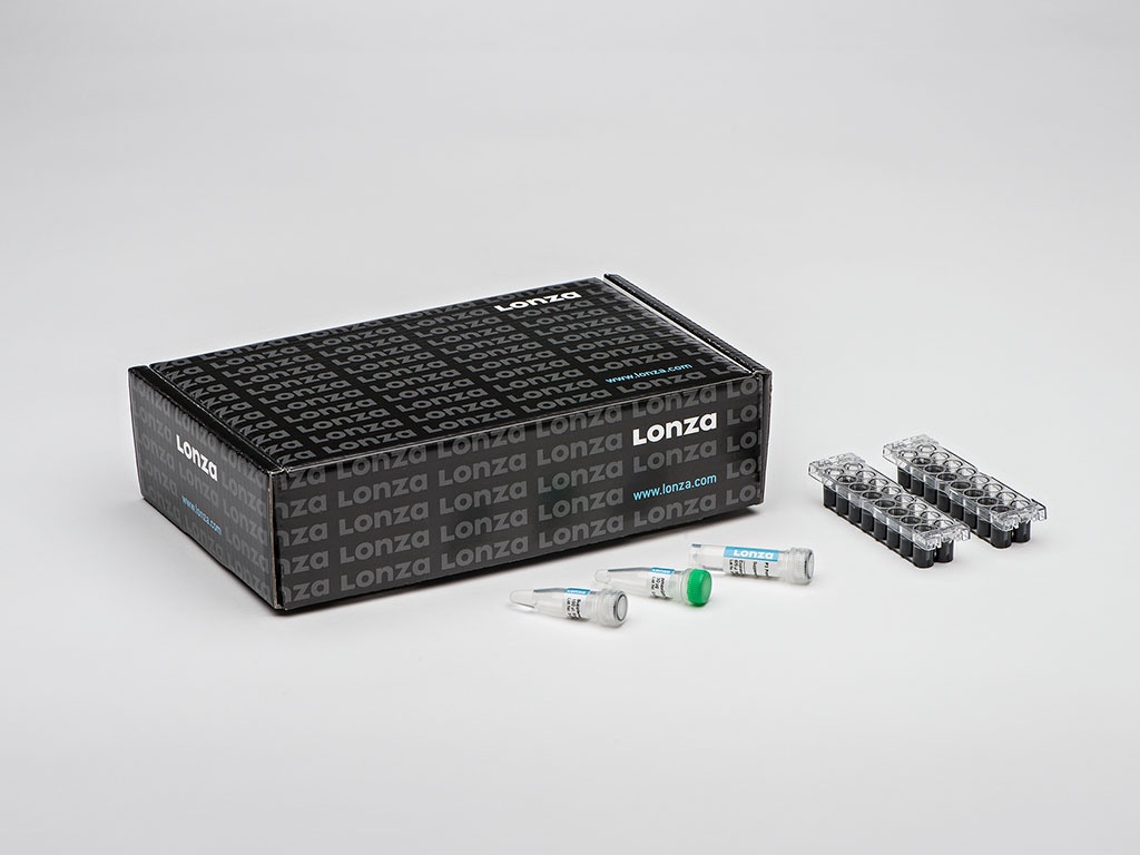 SE Cell Line 4D-Nucleofector™ X Kit S (32 RCT) | Lonza