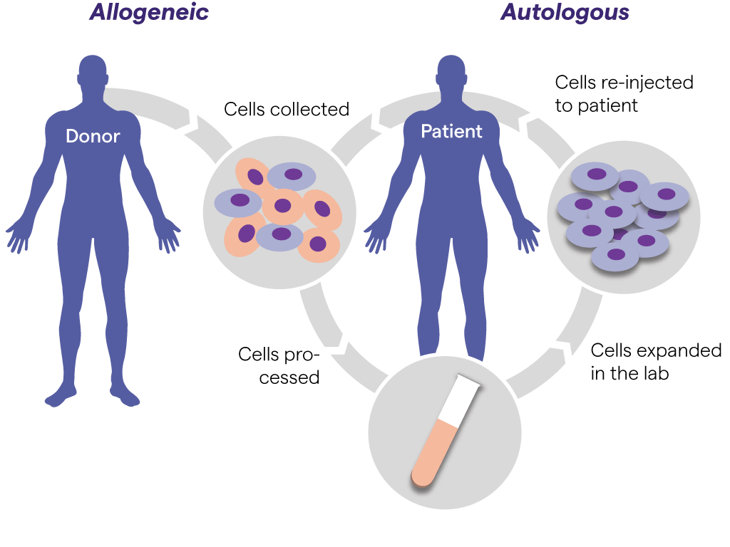 Safe transport in cell & gene therapies