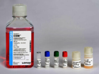 EGM™ Endothelial Cell Growth Medium BulletKit™ (6 Pack)