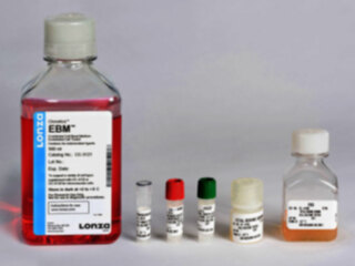 EGM™ MV Microvascular Endothelial Cell Growth Medium BulletKit™ (6 Pack)