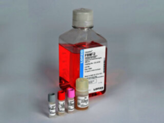 Lung Fibroblast Cell Culture Kit