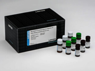 MycoAlert<sup class=reg>®</sup> PLUS Mycoplasma Detection Kit (30 Tests)