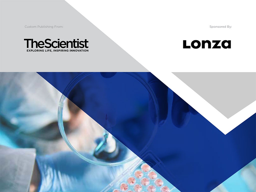 Primary Cells vs Cell Lines - Lonza Bioscience