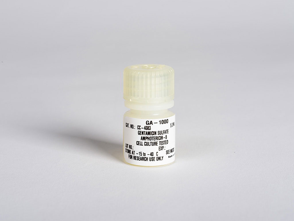 Gentamicin Sulfate Amphotericin Lonza