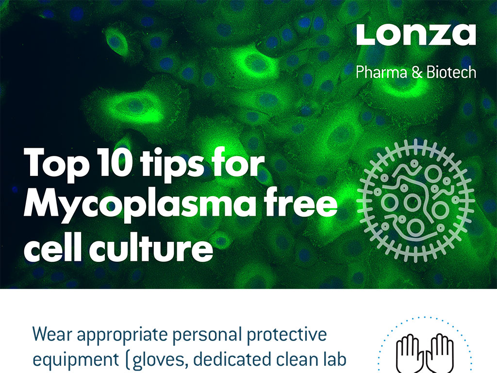 Mycoplasma contamination of cell cultures | Lonza